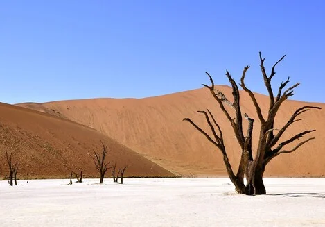 DESERTO